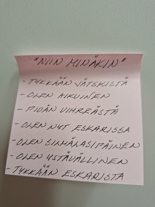 Niin minäkin...