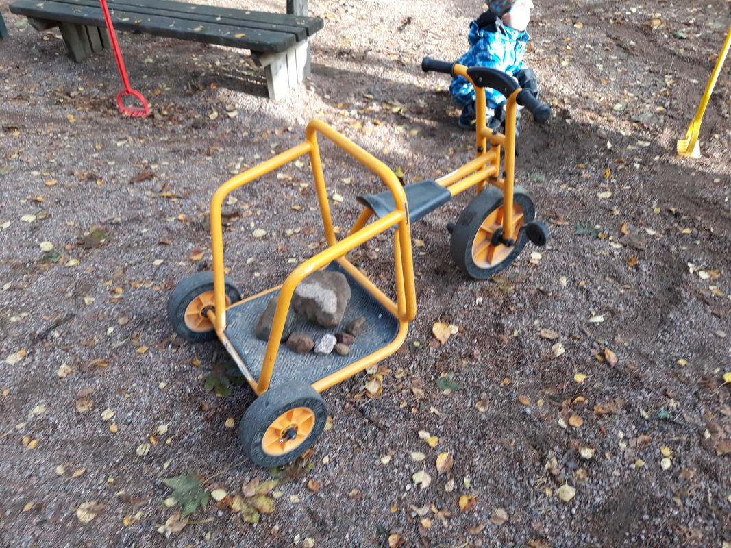 20181004_095159.jpg