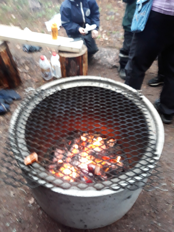 20181116_110059.jpg