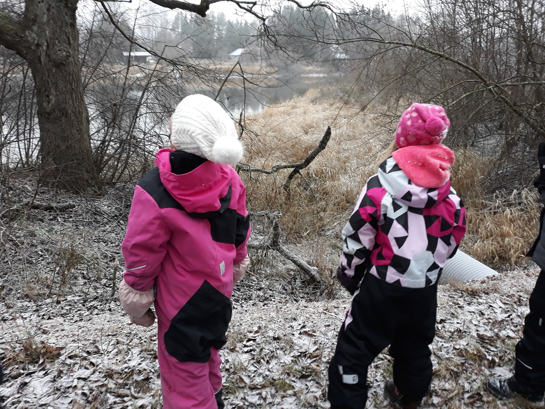 20181123_103455.jpg