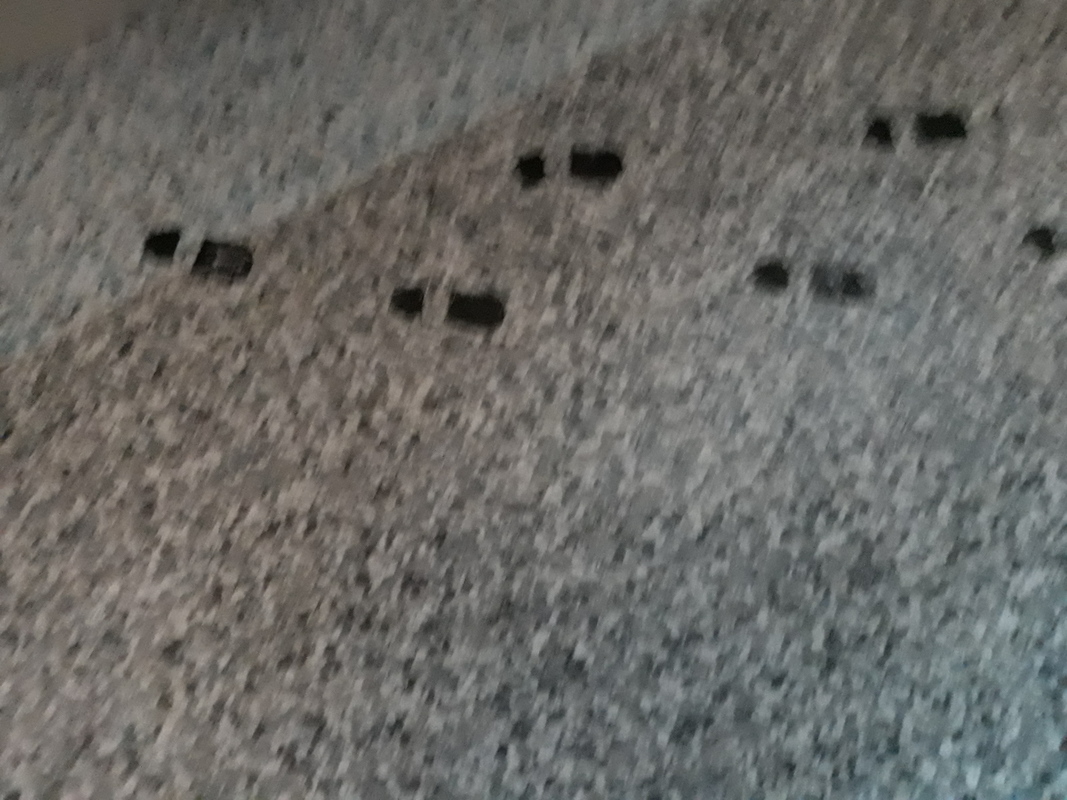 20181218_104904.jpg