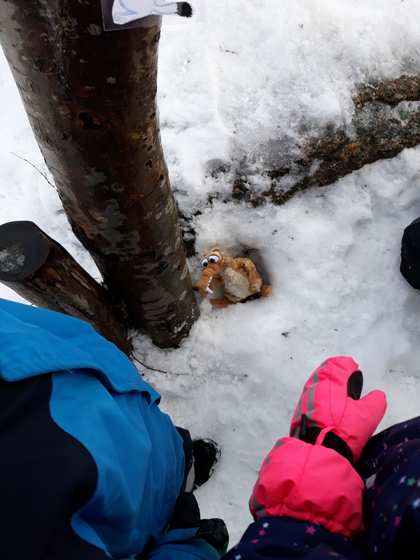 20190214_110010.jpg