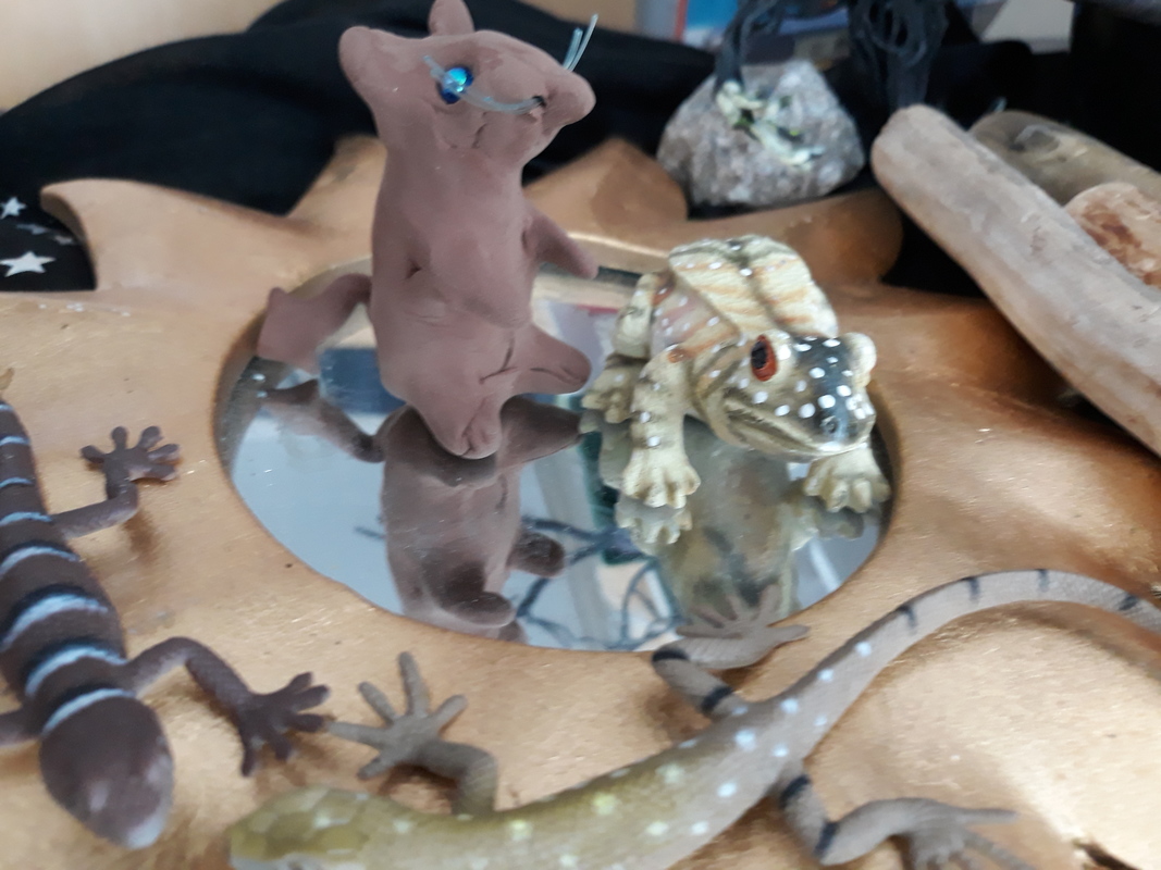 20190411_121625.jpg
