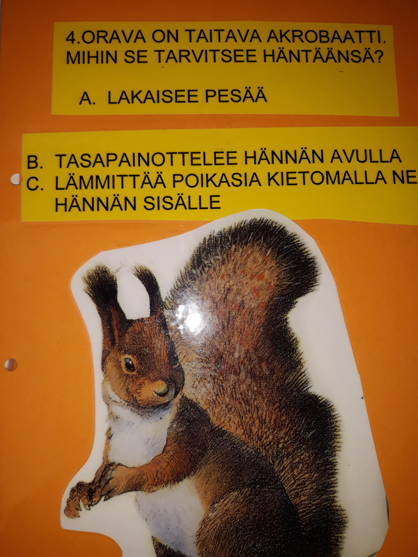 20200319_092802.jpg