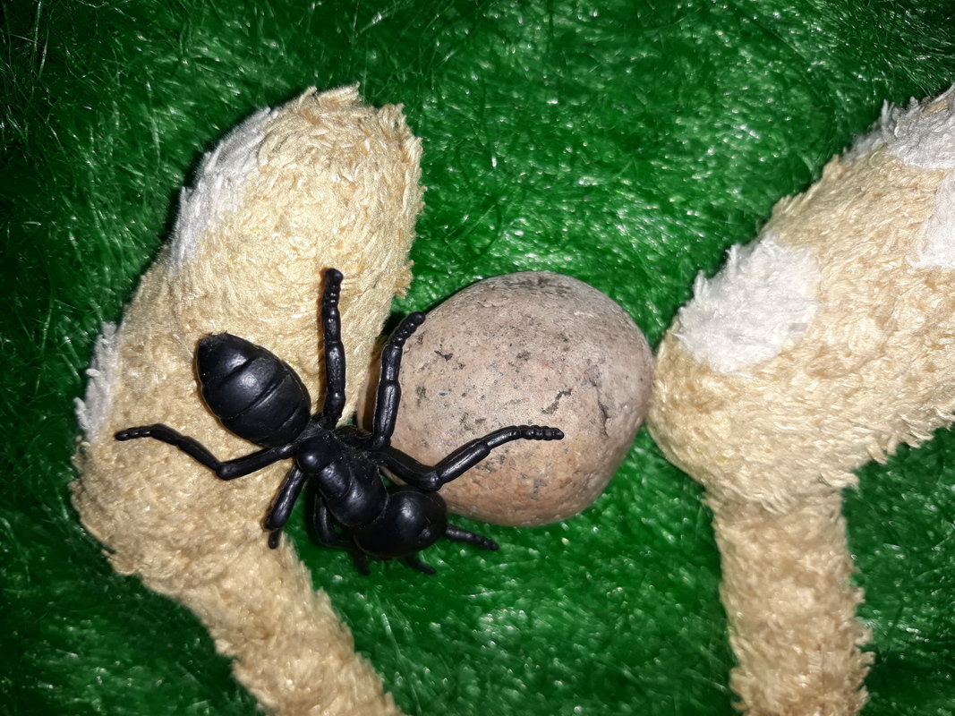 20200327_104309 (1).jpg