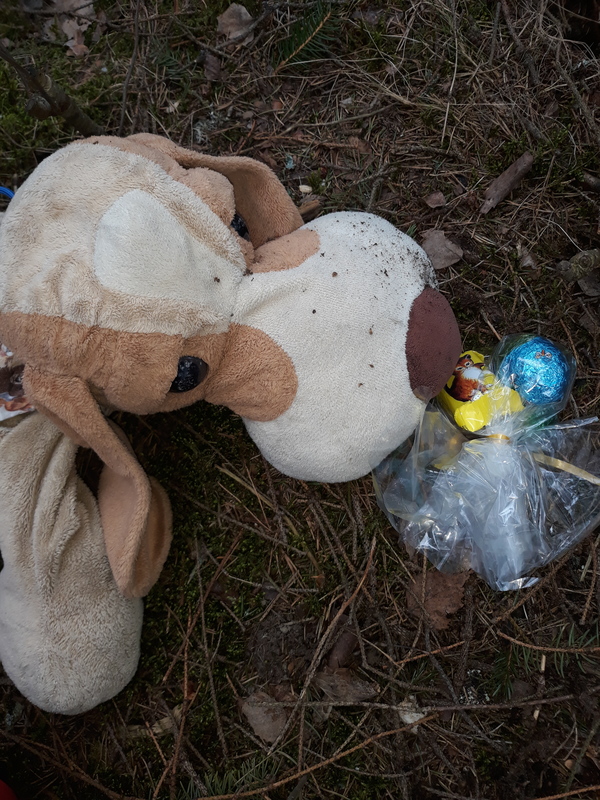 Kukkokos Muni? Närhi nähtiin ja kuultiin !