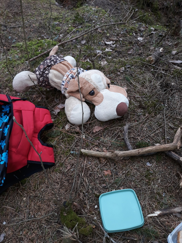 Myöhemmin tämä polku voi muuttuva vehreämmäksi kevään edetessä HAU HAU! Linnunlaulu soi puissa jo nyt .TITITYY!