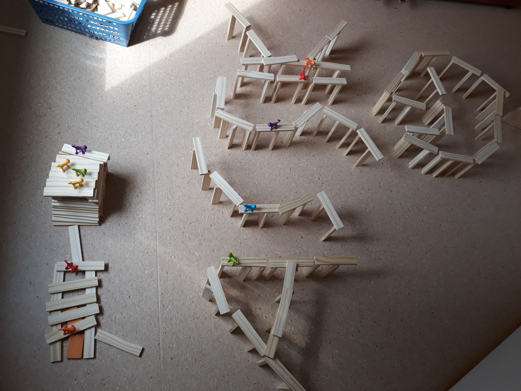 poikien kissavaltakunta