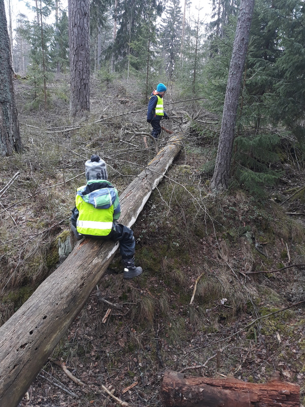 Silta yli vallihaudan! Miksi täällä on tälläisia "kuoppakäytäviä"?