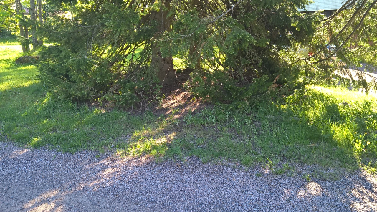 WP_20180521_08_14_17_Pro.jpg
