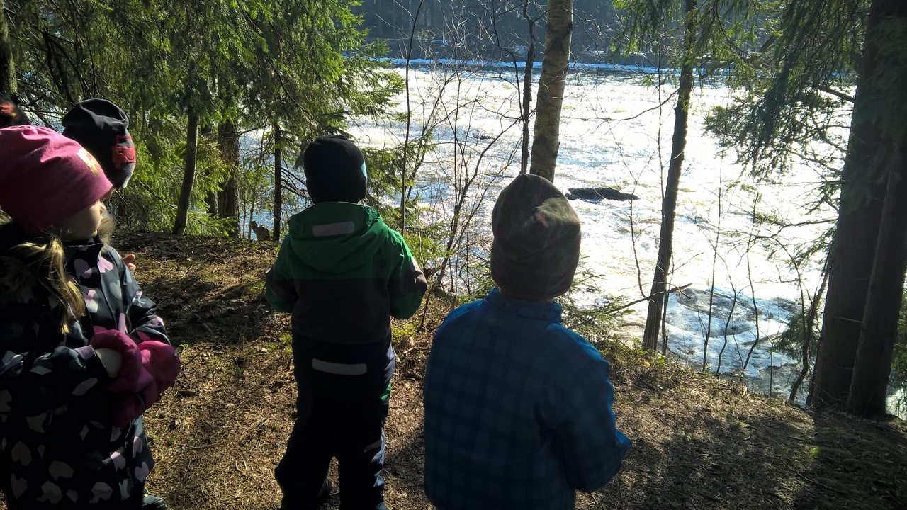 WP_20180409_10_56_21_Pro.jpg