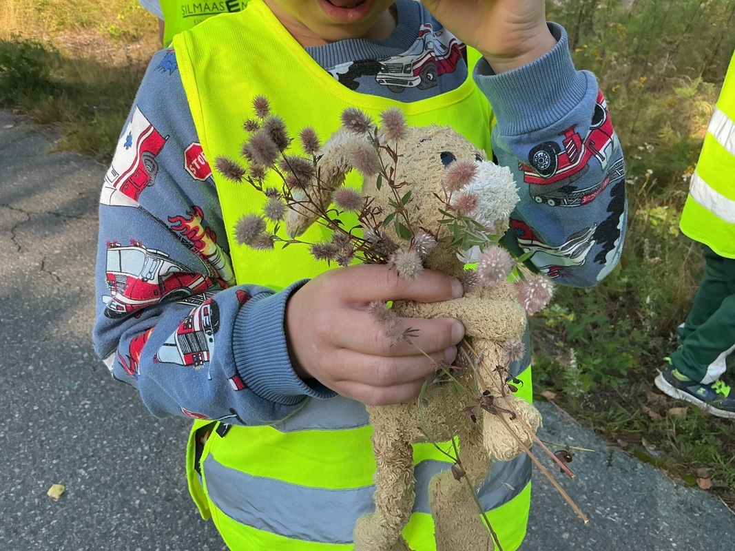 Kullervo kukkaretkellä