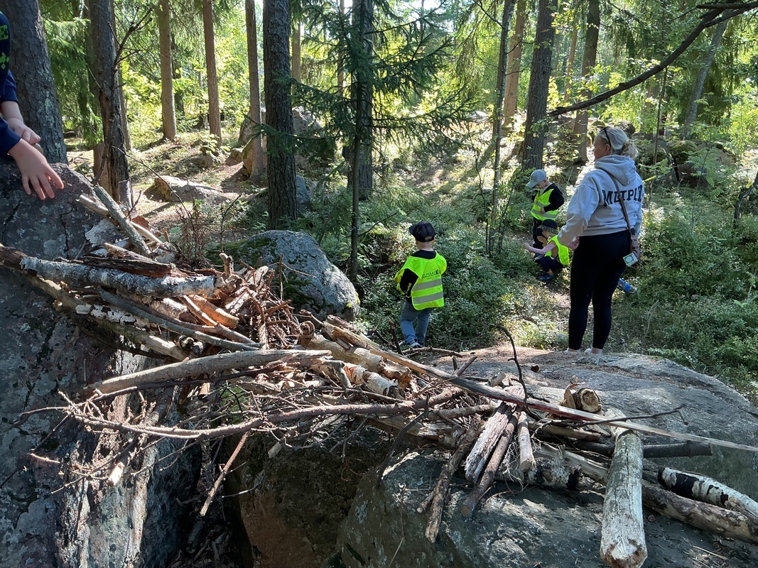 Metsän lumous