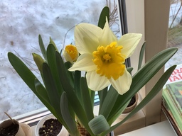 46713522-08CF-4426-8237-49D129FD19E6.jpeg