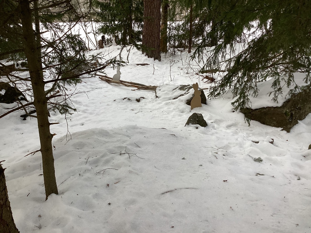 Löydätkös rusakoita ja metsäjäniksiä .