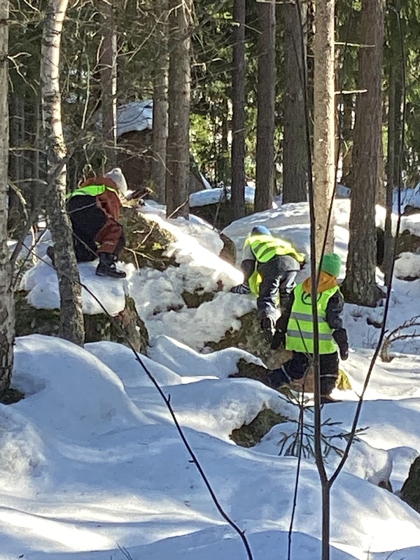 Metsäleikkejä