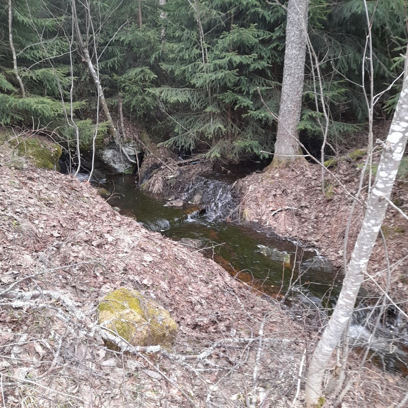 Sorsarouva