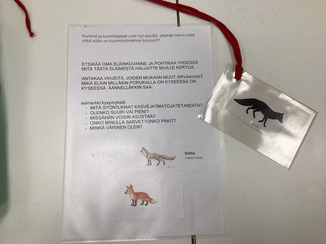 Etsitään varjokuvaa ryhmän eläimelle