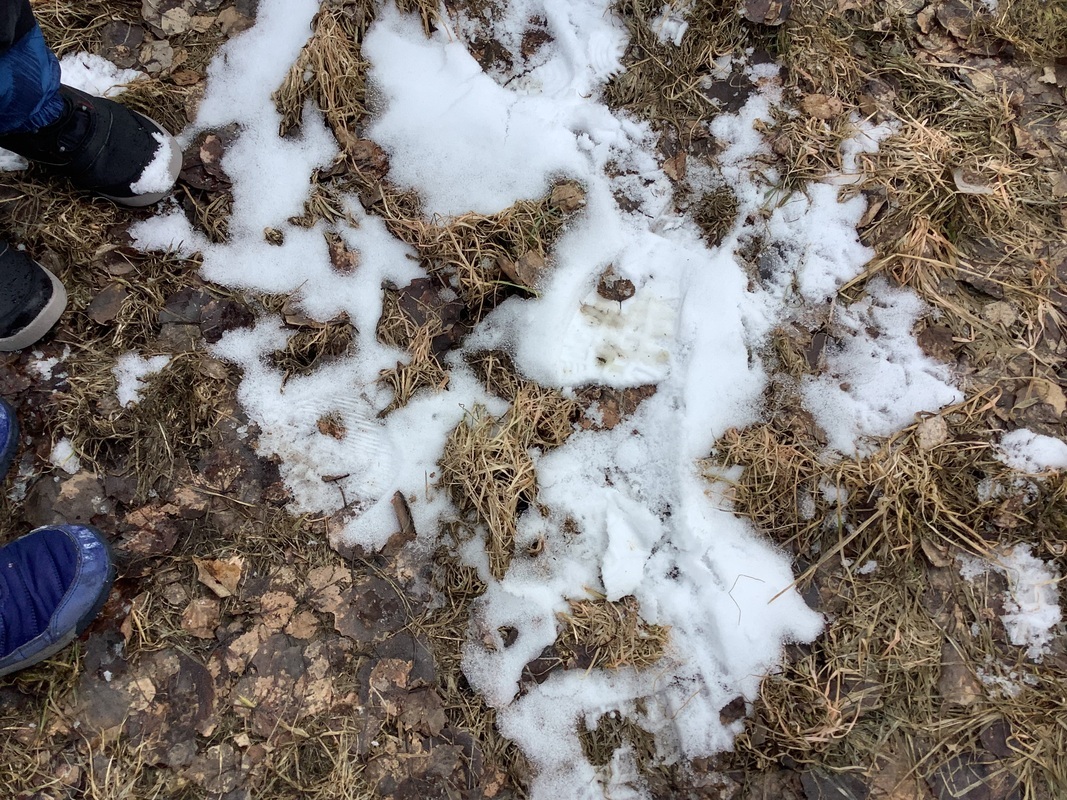 Tähän Rouva Haapa Pudotti vanhat lehtensä..hyvää kariketta!