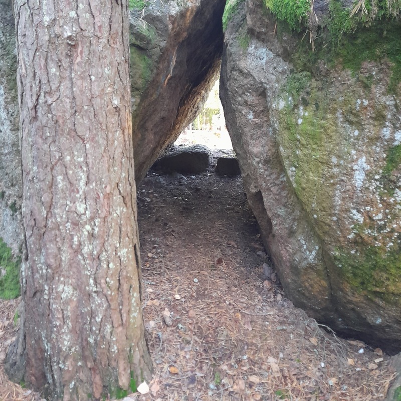 Salakäytävä Metsänkuningas Tapion valtakuntaan....