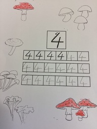 Numero 4 harjoittelua.
