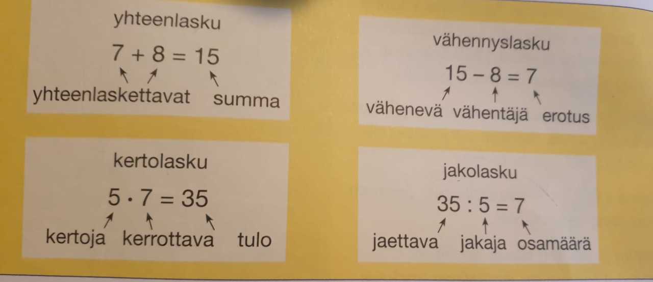 summa.jpeg
