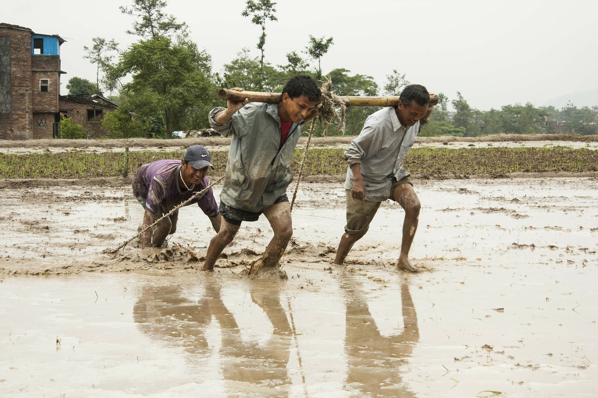 human-efforts-92262_1920.jpg