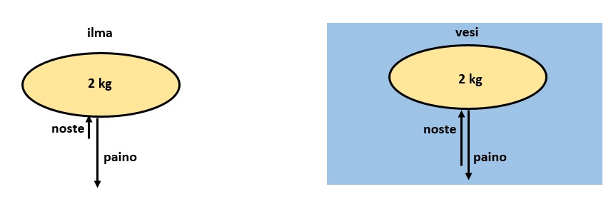 Sieppaa3.PNG