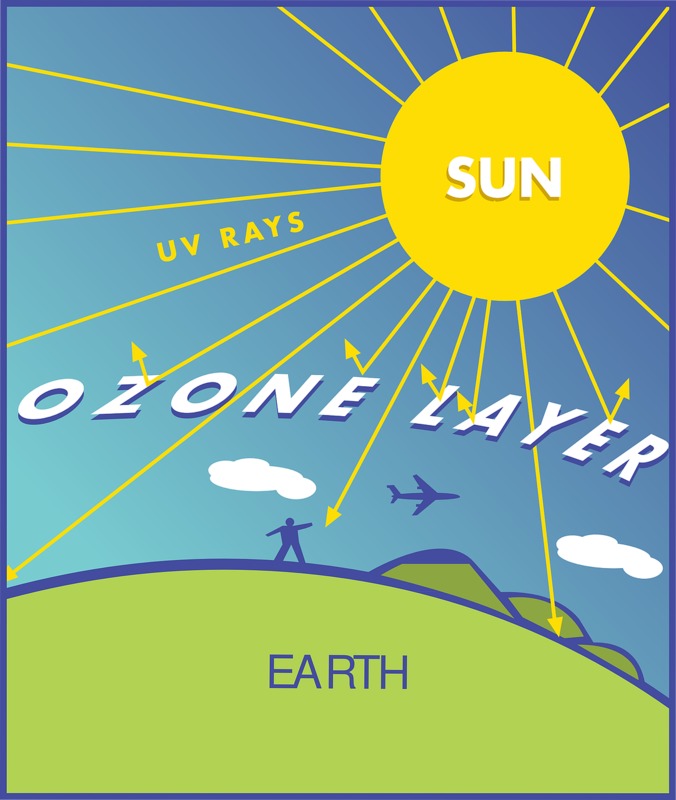 diagram-29982_1280.png