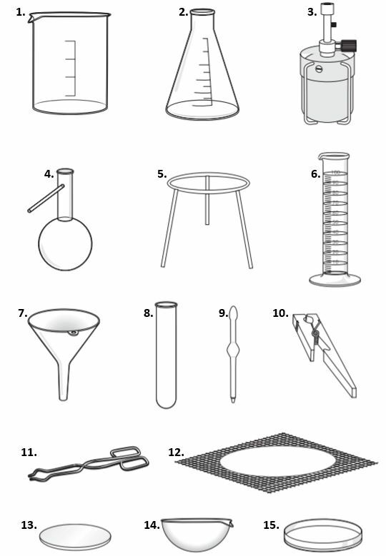 ty-v-lineet