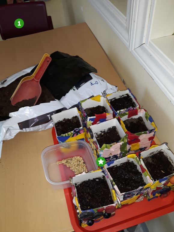 Kultakalat kevät 2020.JPG