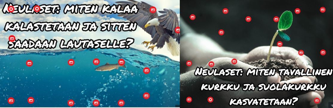 Neulaset kevät 2019.JPG