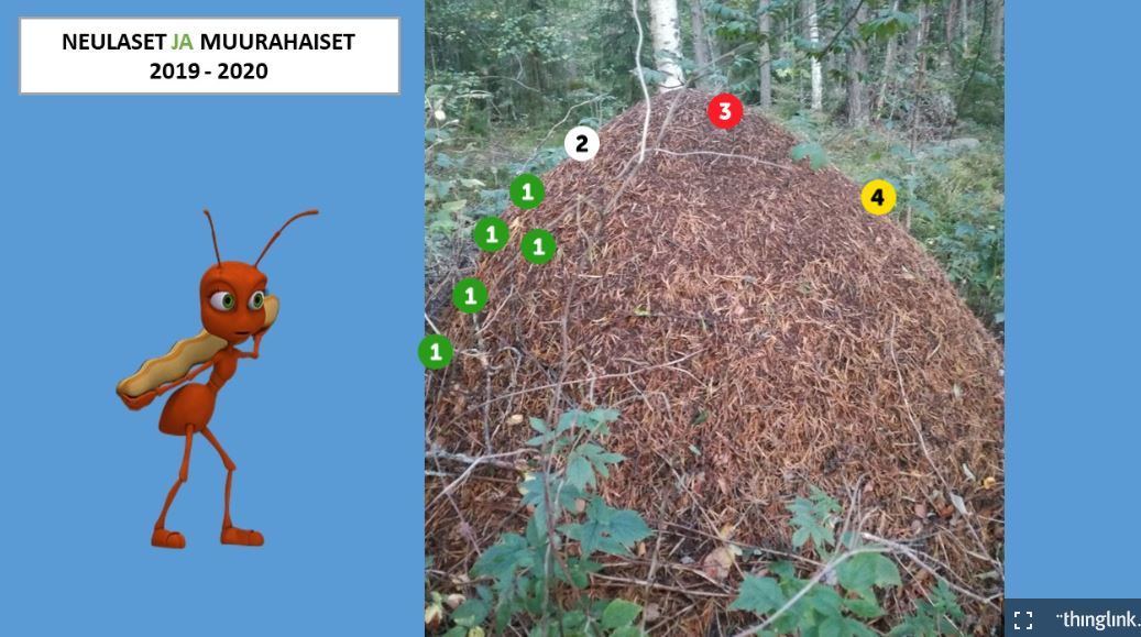 Neulaset syksy 2019 ja kevät 2020.JPG