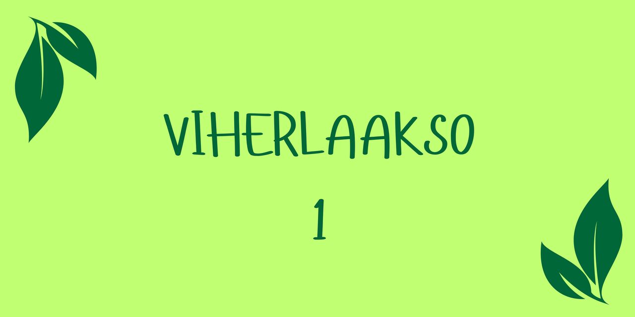 VIHERLAAKSO 1.jpg