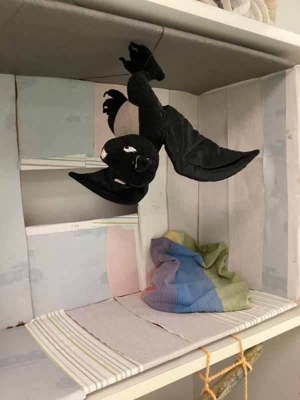 Lepilepakko.jpeg Lepi-Lepakko roikkumassa puumajassa