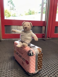 Reissu-Nalle istuu matkalaukkunsa päällä päiväkodin eteisessä