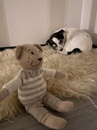 Reissu-Nalle kertoo matkatarinoitaan Nelli-koiralle