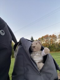 Repussa on Reissu-Nallen turvallista matkustaa