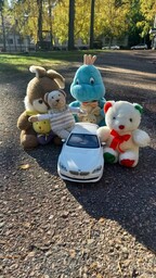 Nalle ystävien kanssa autoajelulla