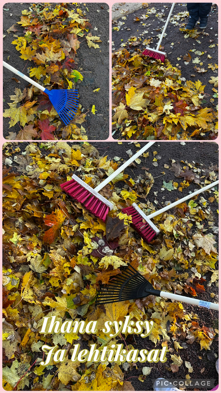 Ihana, ihana syksy🍁 Talkoo-hengessä piha haravoitu ja harjattu puhtaaksi.