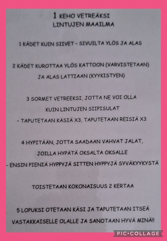 Collage_2025-02-13_12_41_38.jpg Kuvassa jumpan alkulämmittely