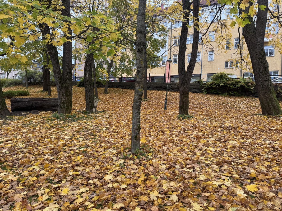 IMG_6531.jpeg