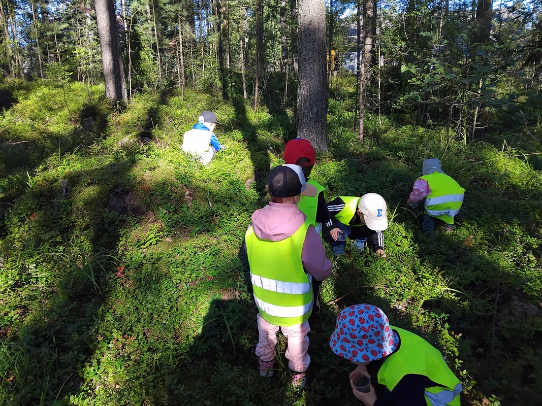 21.8.2025 Mustikassa