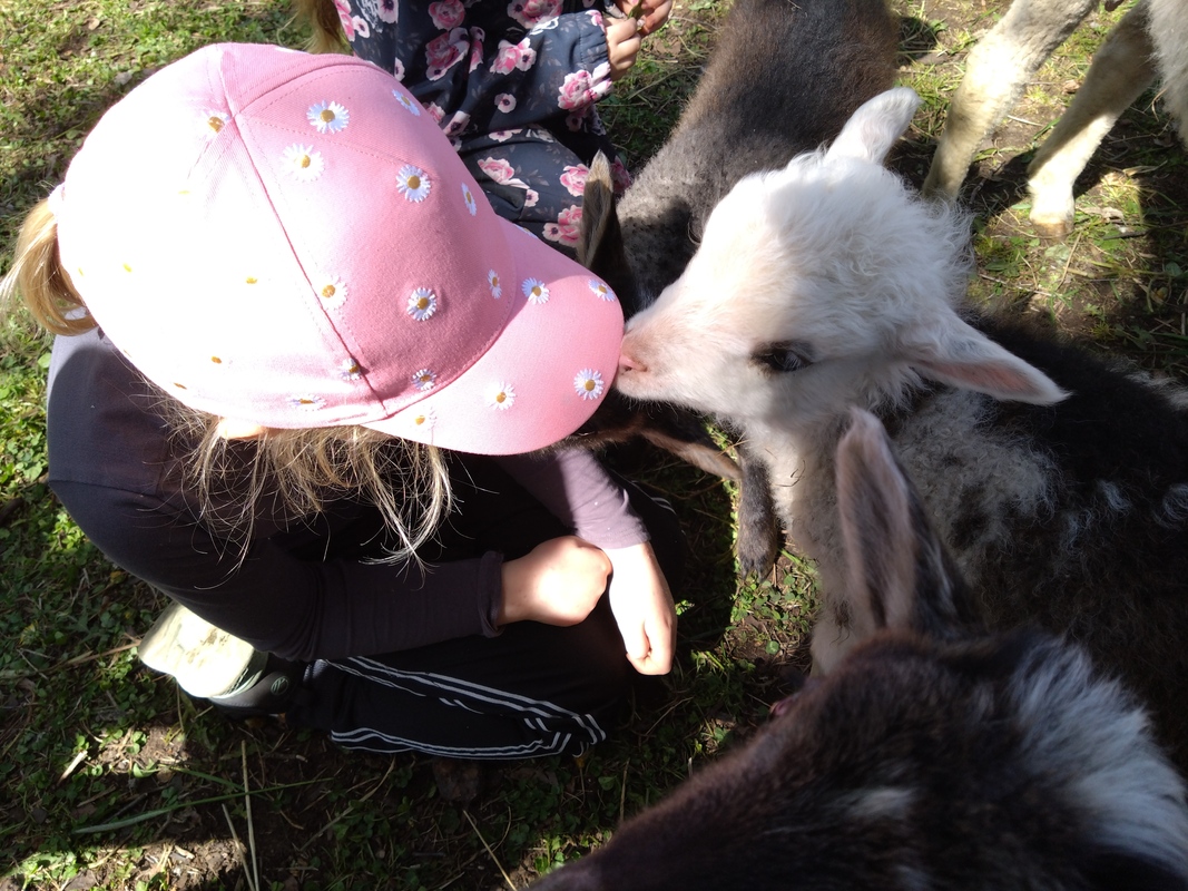 DSC_5446.JPG