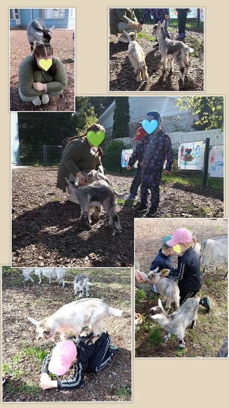 photocollage_2026524165144444.jpg