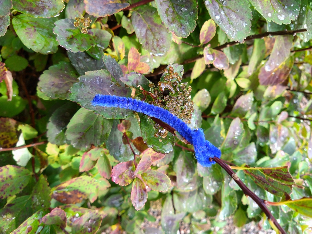 DSC_5893.JPG