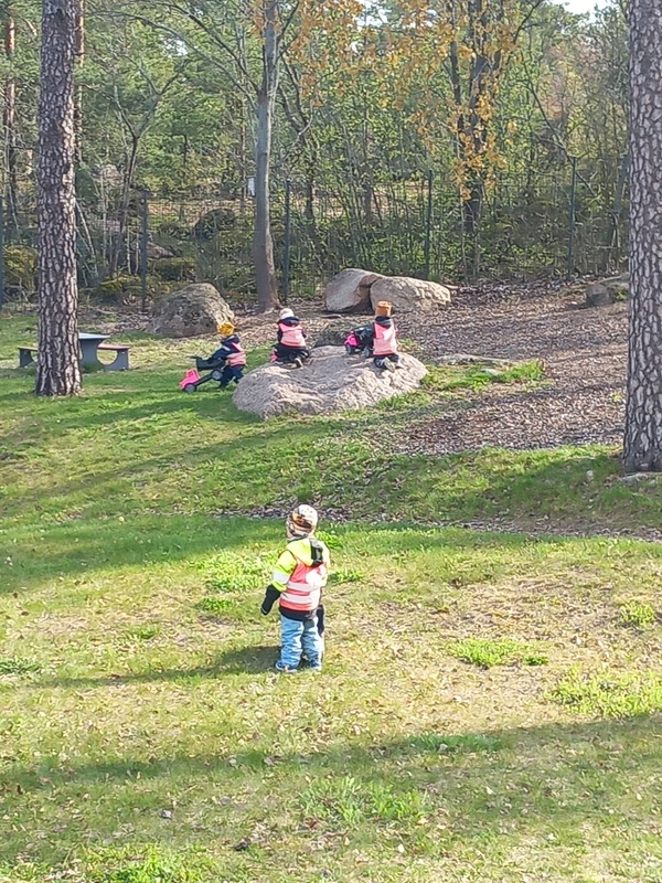 20260504_091456.jpg