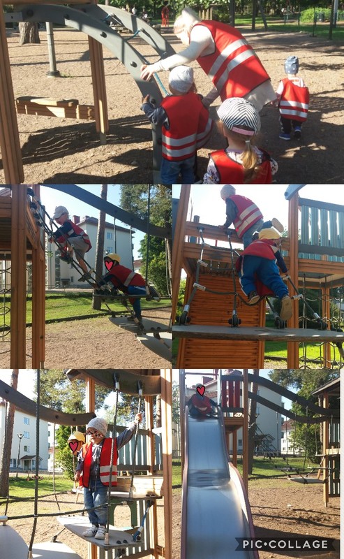 Collage 2019-08-29 13_15_32.jpg