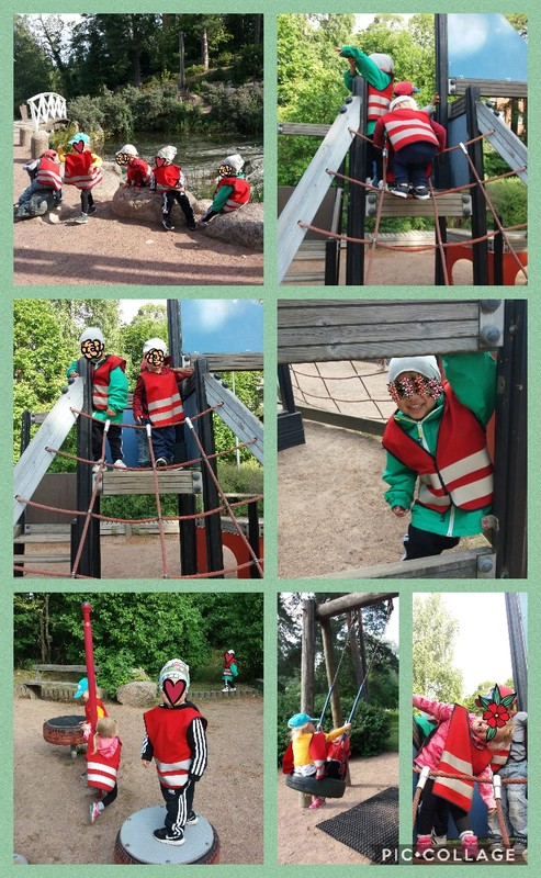 Collage 2019-08-16 13_55_16.jpg