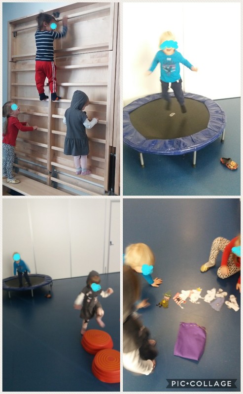 Collage 2020-02-06 12_09_06.jpg